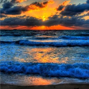 Meet your Posher, Kammy